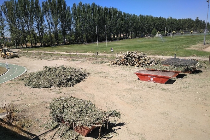 Savia, verde y sostenible gesti&oacute;n arb&oacute;rea. | Imagen 1