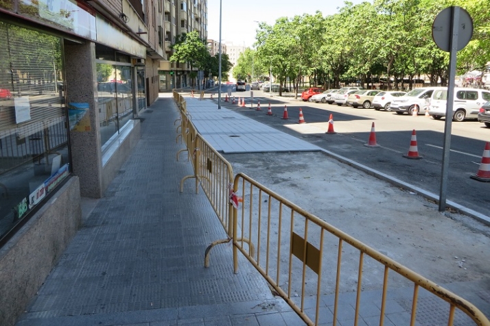 La enigm&aacute;tica evanescencia de varios &aacute;rboles | Imagen 2