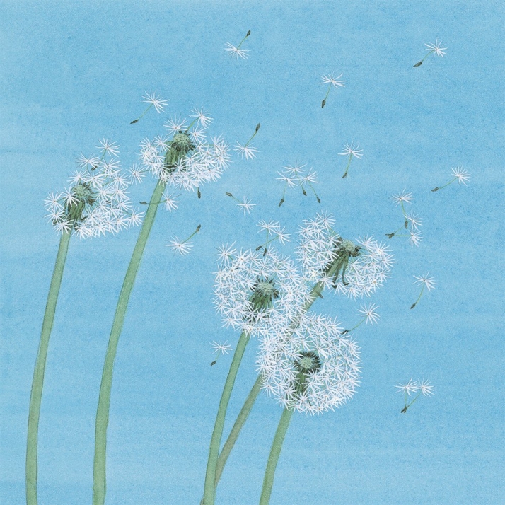 Un libro es un diente de le&oacute;n | Imagen 2