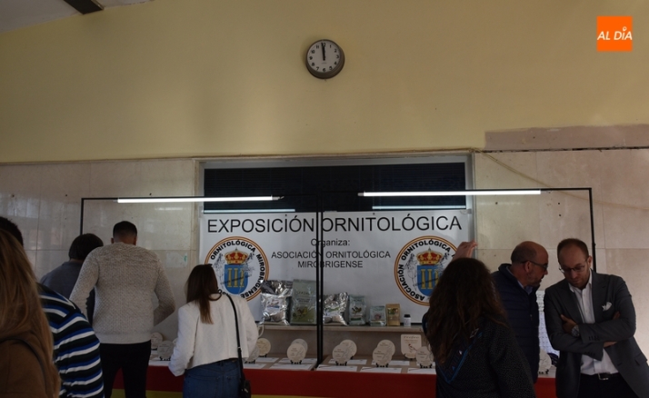 El 3&ordm; D&iacute;a | 20 Noviembre | Imagen 4