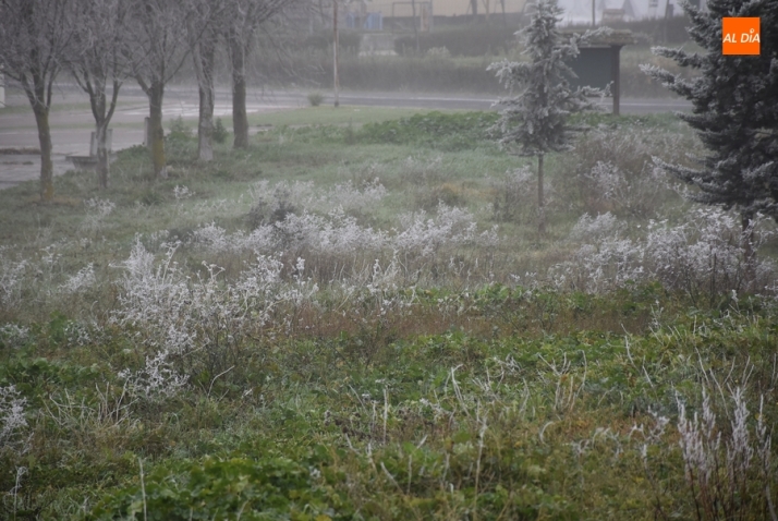 El 3&ordm; D&iacute;a | 18 Diciembre | Imagen 7