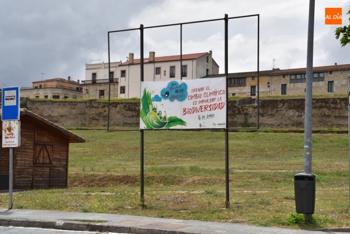 Ciudad Rodrigo conmemorar&aacute; durante el fin de semana el D&iacute;a Mundial del Medio Ambiente | Imagen 1