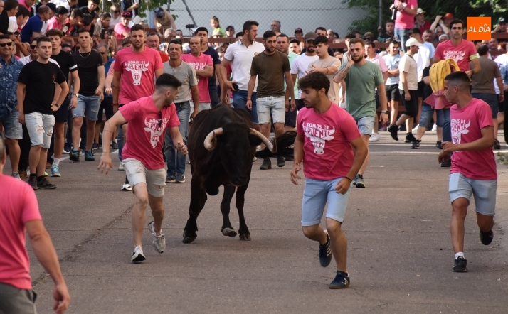 El Barrio Nuevo desvela su programa y con posible pantalla grande para ver el Mundial | Imagen 2
