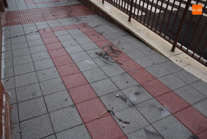 El 3&ordm; D&iacute;a | 21 Noviembre | Imagen 8