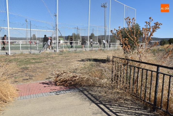 Los cardos dejan &lsquo;fuera de servicio&rsquo; los pasamanos de acceso a los Campos de To&ntilde;ete | Imagen 1