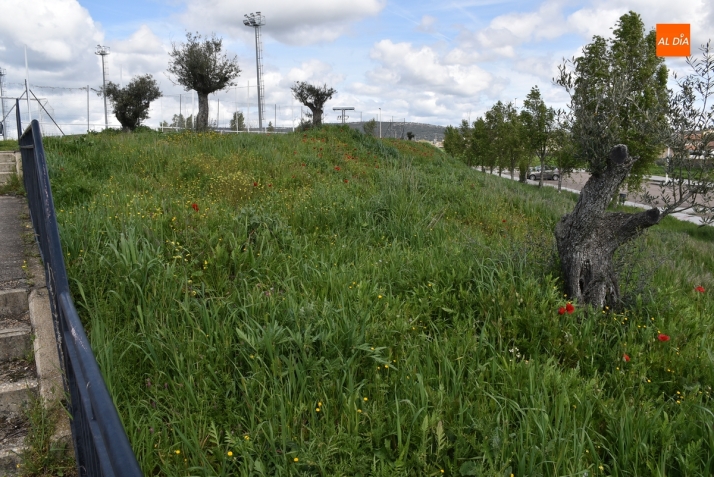 El 3&ordm; D&iacute;a | 7 Abril | Imagen 6