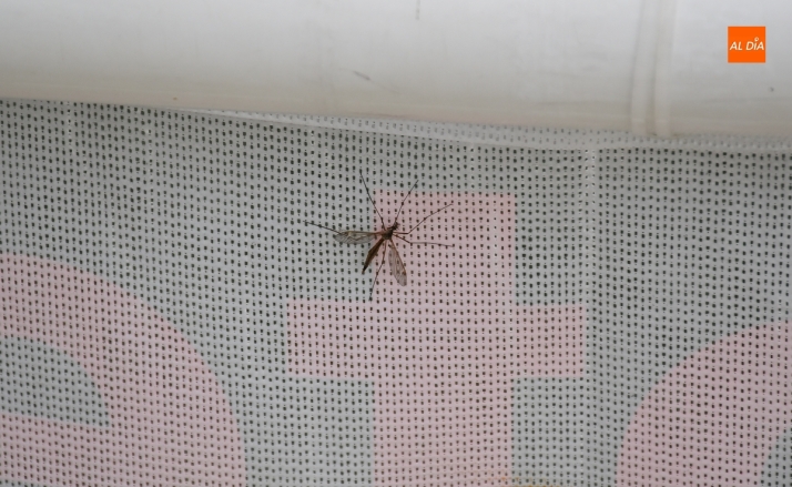 El 3&ordm; D&iacute;a | 7 Abril | Imagen 10