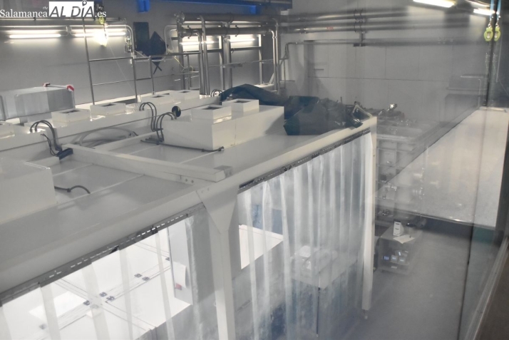 El Centro de L&aacute;seres Pulsados orienta su ampliaci&oacute;n hacia la fusi&oacute;n nuclear y la defensa | Imagen 1