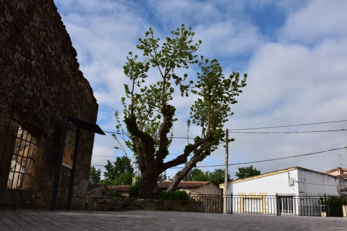 El Arco f&iacute;a su futuro a la mejora de infraestructuras y la puesta en valor de su patrimonio hist&oacute;rico | Imagen 2