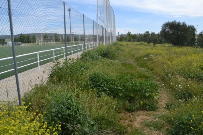 ))) El 3&ordm; D&iacute;a [9 MAY 22] La multicancha | Imagen 5