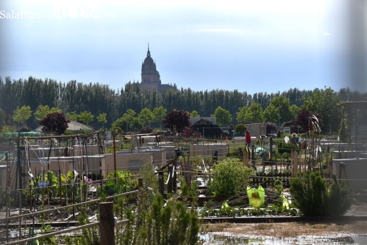 As&iacute; son los pulmones verdes de Salamanca: ubicaci&oacute;n y lugares de los que disfrutar en la ciudad   | Imagen 3