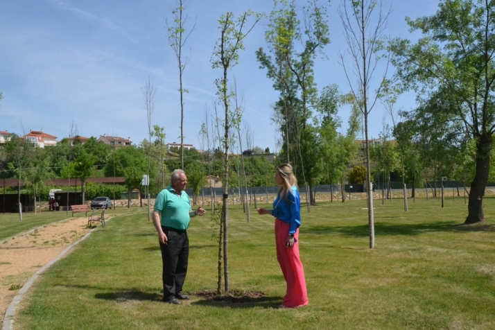 Repuestos 27 &aacute;rboles en el &ldquo;Benidorm mirobrigense&rdquo; | Imagen 1