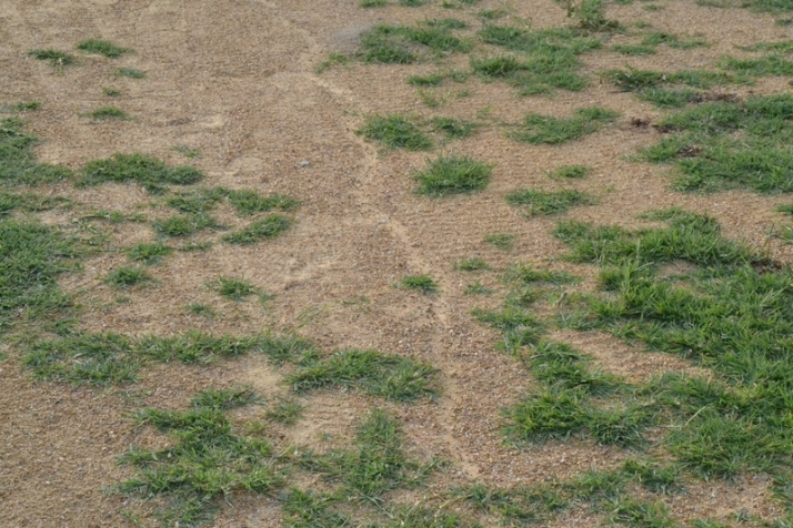 ))) El 3&ordm; D&iacute;a [16 MAY 22] Tarde con premio | Imagen 12