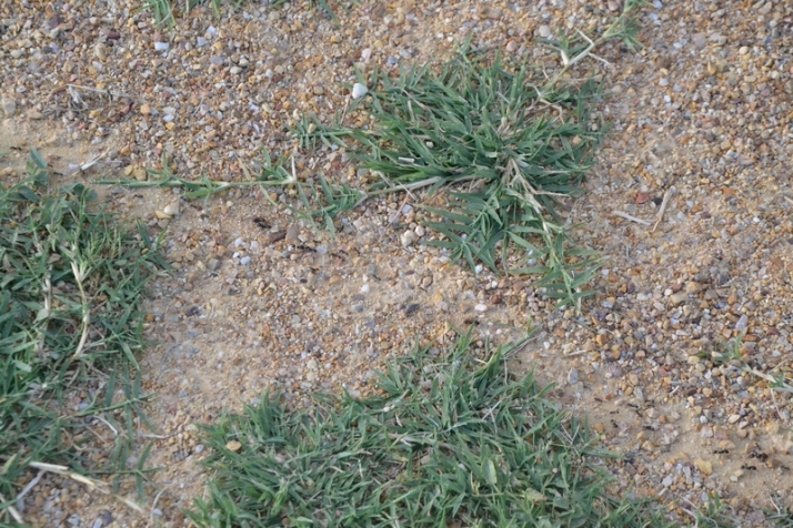 ))) El 3&ordm; D&iacute;a [16 MAY 22] Tarde con premio | Imagen 13