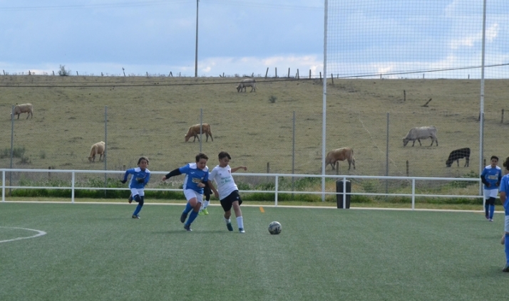 ))) El 3&ordm; D&iacute;a [9 MAY 22] La multicancha | Imagen 3