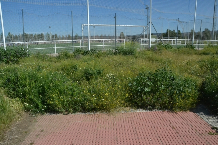 ))) El 3&ordm; D&iacute;a [9 MAY 22] La multicancha | Imagen 6