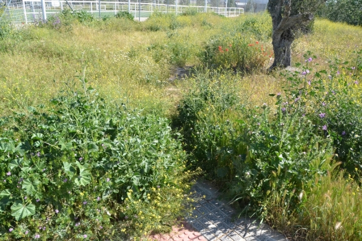 ))) El 3&ordm; D&iacute;a [9 MAY 22] La multicancha | Imagen 7