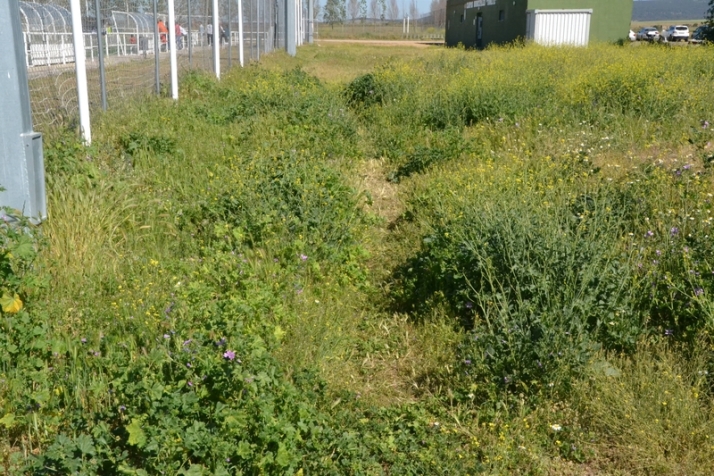 ))) El 3&ordm; D&iacute;a [9 MAY 22] La multicancha | Imagen 8