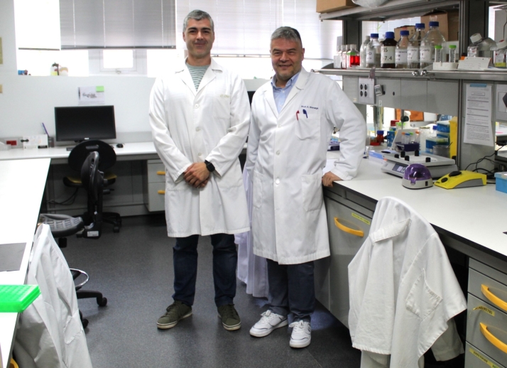 Cient&iacute;ficos de Salamanca logran frenar la p&eacute;rdida de neuronas con terapia celular y g&eacute;nica | Imagen 1
