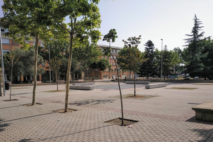 La enigm&aacute;tica evanescencia de varios &aacute;rboles | Imagen 4