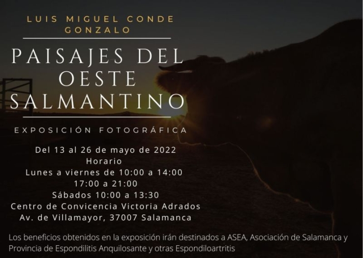 La exposici&oacute;n 'Paisajes salmantinos' pretende concienciar sobre la espondilitis anquilosante | Imagen 1