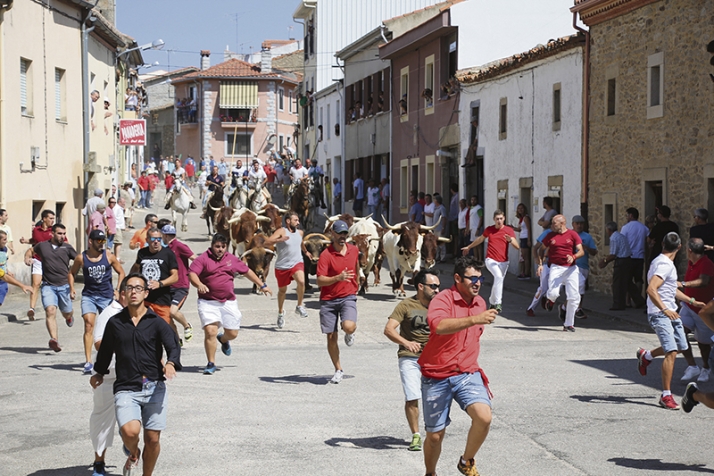Espectáculos taurinos, música y deporte protagonizan el programa festivo de Lumbrales | Imagen 1