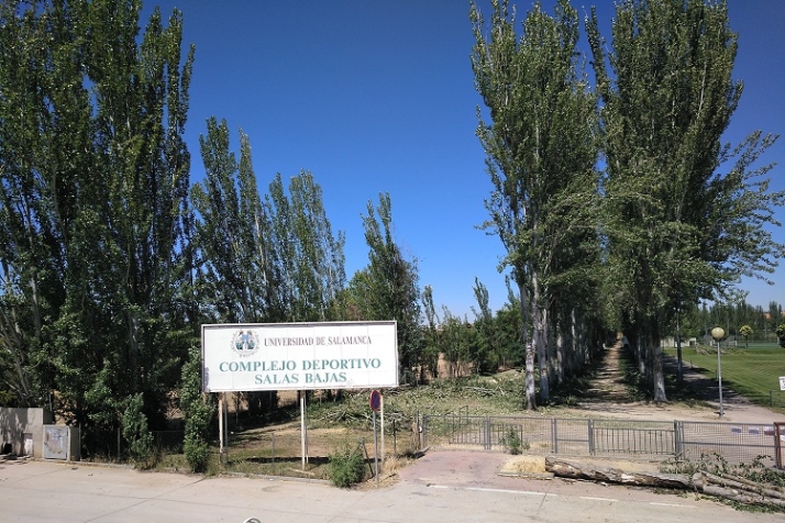 Deforestando "en popa a toda vela". | Imagen 1