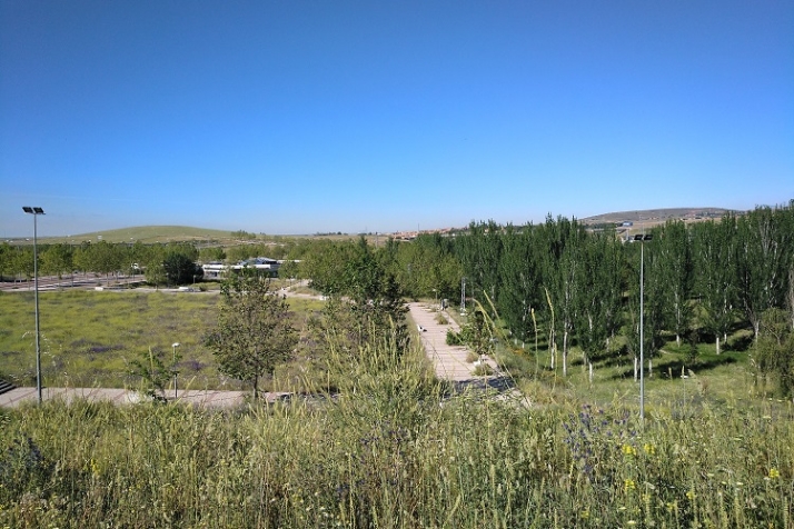 Qu&eacute; votamos el d&iacute;a 13 de febrero | Imagen 2