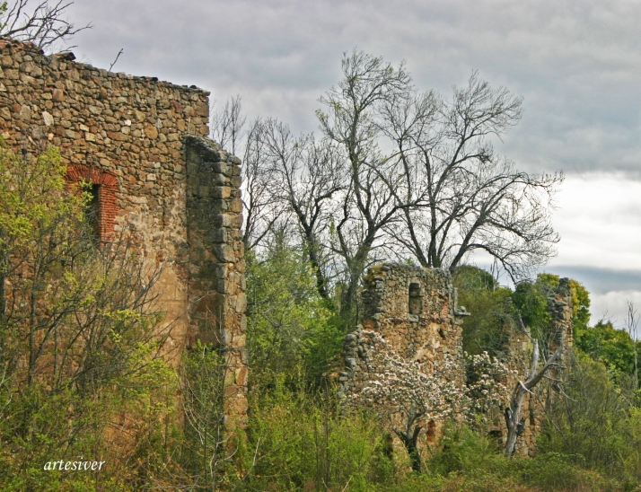 De palacios a puentes y acueductos: as&iacute; son los lugares de Salamanca que se encuentran en riesgo de desaparici&oacute;n | Imagen 1