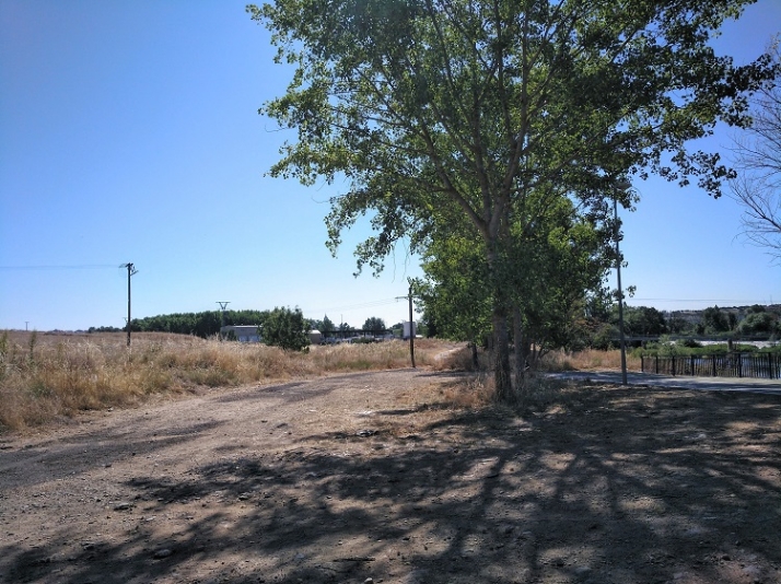 El a&ntilde;orado corredor verde en las orillas del r&iacute;o Tormes. | Imagen 5