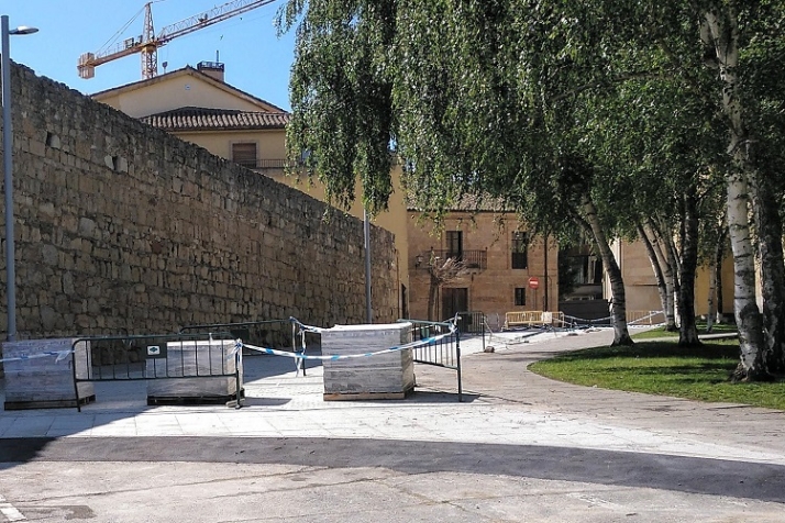 Peatonalizando, pero &iquest;Saviamente? | Imagen 1