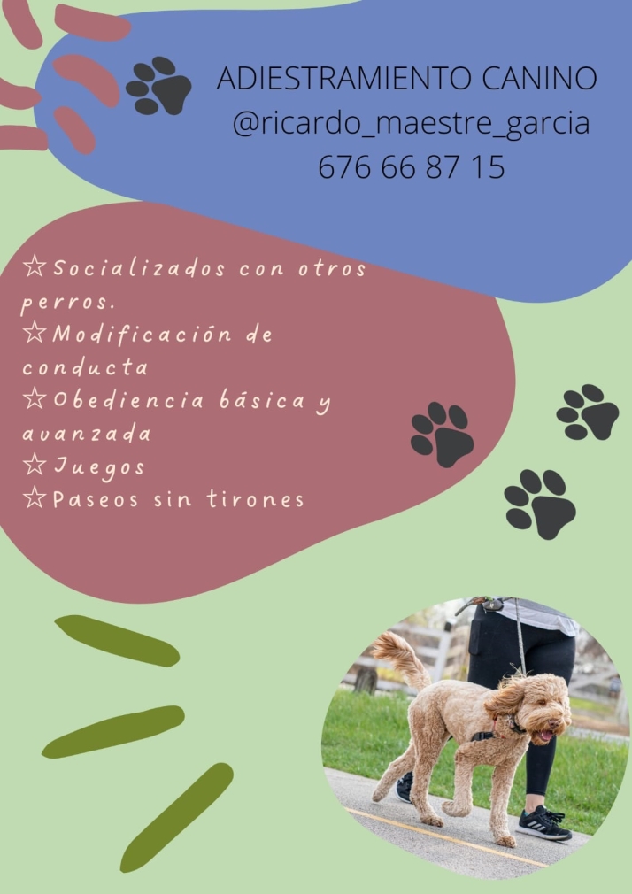 El alma de las fiestas de San Buenaventura | Imagen 11