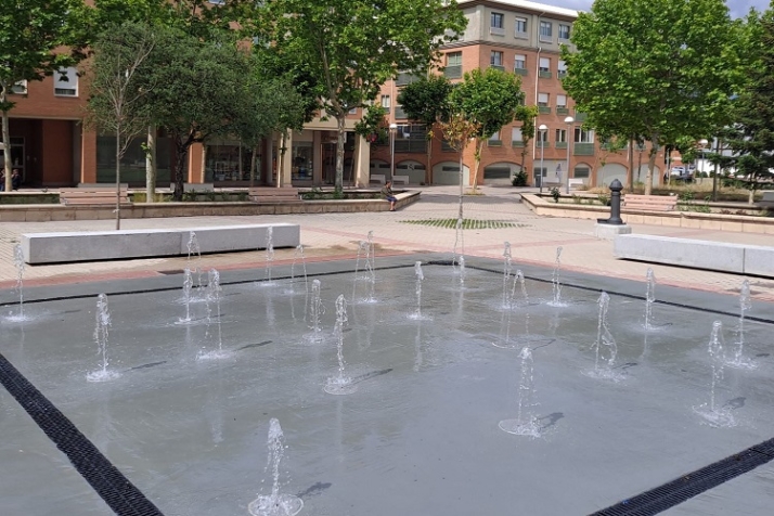 La enigm&aacute;tica evanescencia de varios &aacute;rboles | Imagen 1