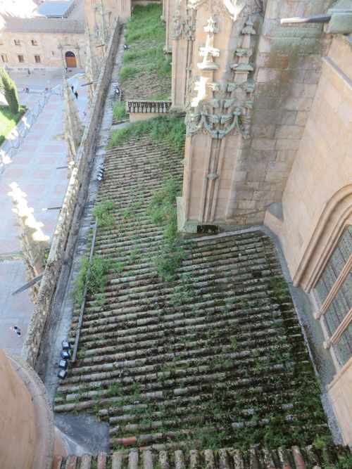 Quejas por el aspecto que presenta Ieronimus: &ldquo;Se pone de manifiesto el escaso sentimiento que se tiene por el monumento y por la ciudad&rdquo; | Imagen 1