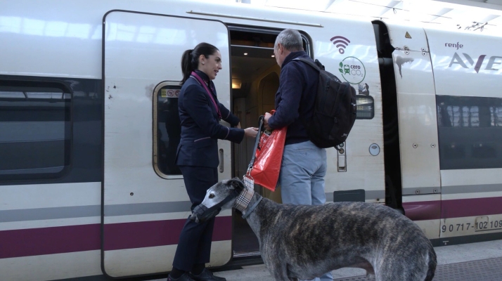 Renfe permitir&aacute; viajar con perros de hasta 40 kilos en todos sus trenes desde el 21 de julio | Imagen 1