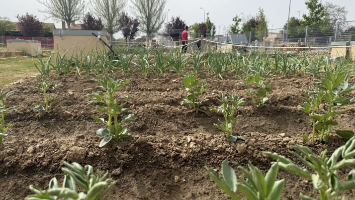 Los huertos urbanos se consolidan como un gran motor de integraci&oacute;n social y ambiental en Salamanca | Imagen 1