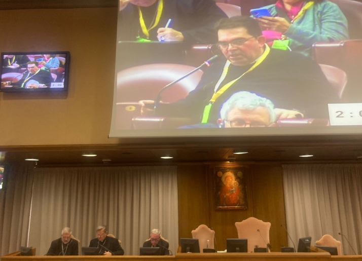 Antonio Risue&ntilde;o asiste en El Vaticano al Jubileo de los Equipos Sinodales | Imagen 1