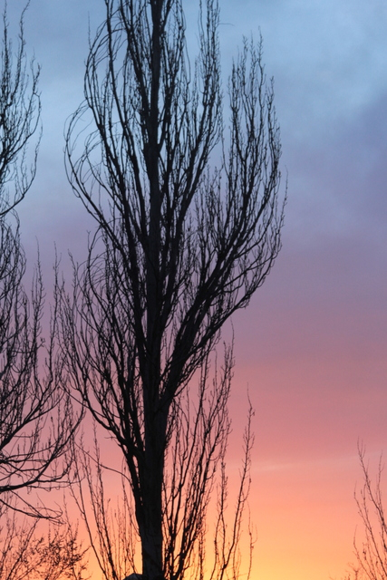 El Amanecer tiene una forma peculiar de hablarnos | Imagen 1