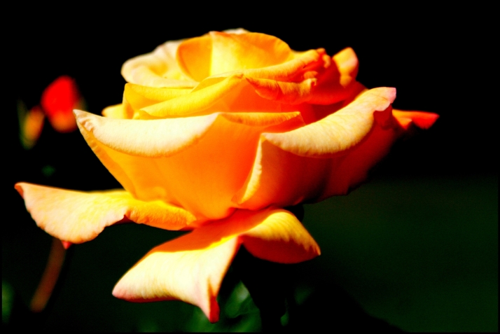 Defenderse del olvido | Imagen 1