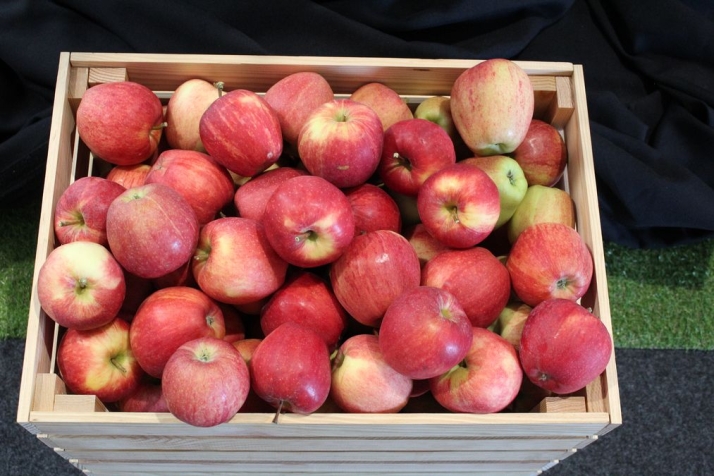 La manzana es la vedete de una feria donde también brillan el vino y el aceite | Imagen 1
