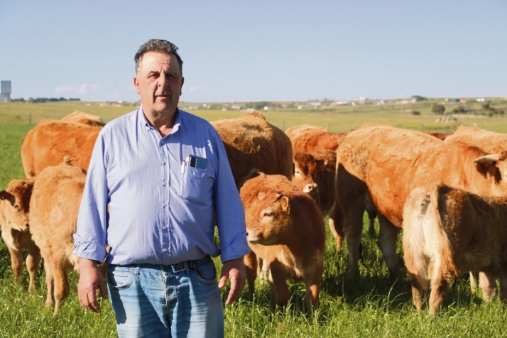 La sequ&iacute;a y la tuberculosis asfixian a los agricultores y ganaderos salmantinos | Imagen 1