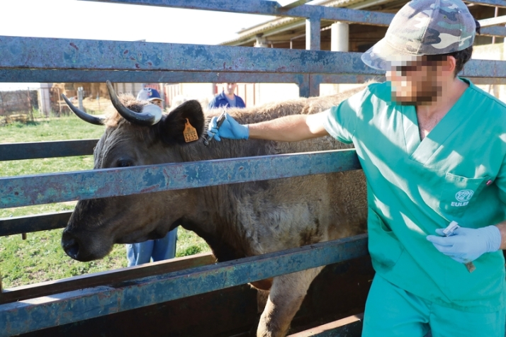La sequ&iacute;a y la tuberculosis asfixian a los agricultores y ganaderos salmantinos | Imagen 2