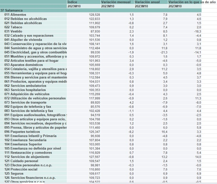 Alimentaci&oacute;n, luz, ropa, carburantes, turismo... &iquest;Qu&eacute; productos suben en Salamanca? &iquest;Y cu&aacute;les bajan? | Imagen 2