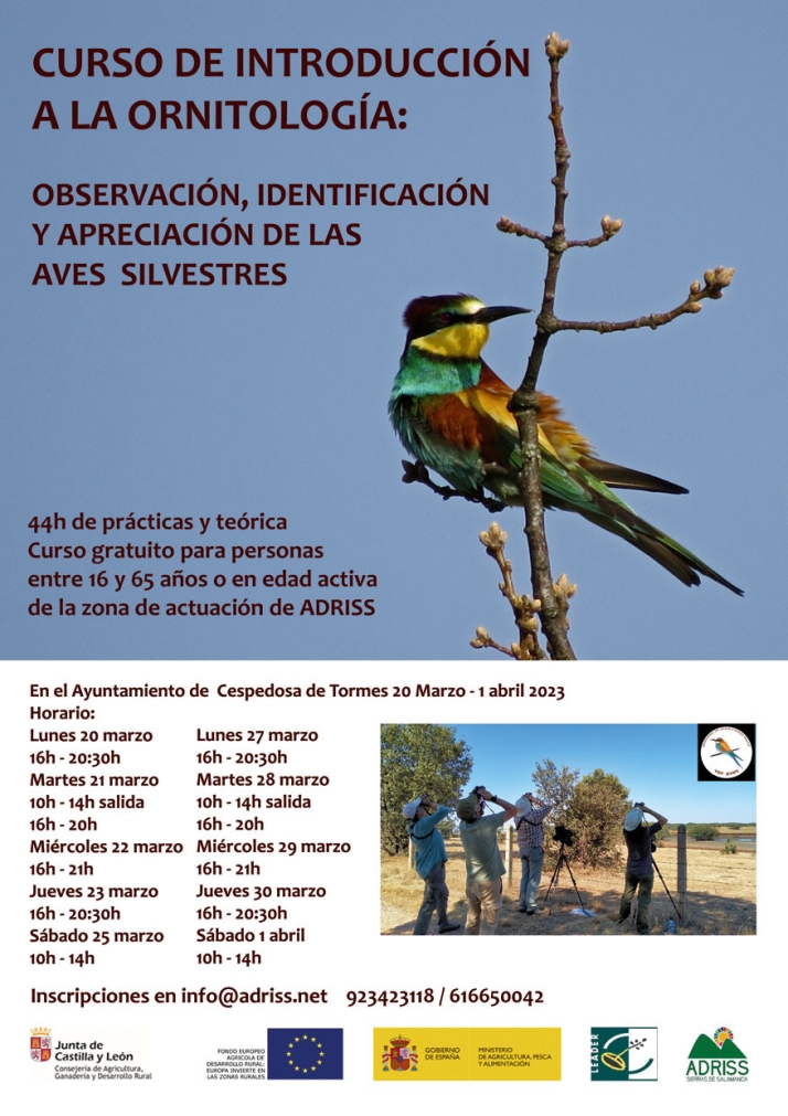 La importancia de las aves en nuestro entorno y c&oacute;mo relacionarnos con ellas | Imagen 1