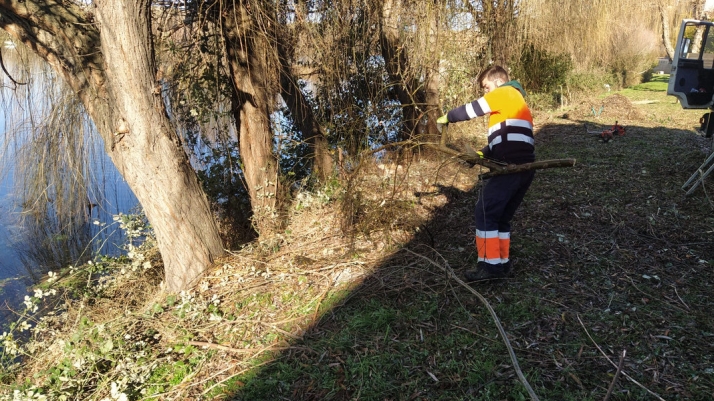 Alba de Tormes revitaliza sus riberas y zonas verdes gracias a un programa de empleo juvenil | Imagen 1