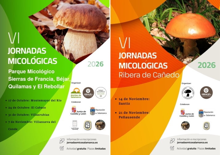 Villasrubias acoger&aacute; una de las jornadas de las VI jornadas de micol&oacute;gicas  | Imagen 1