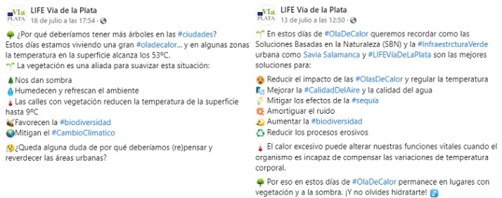 Combatiendo la ola de calor en la Plaza de la Concordia. | Imagen 5