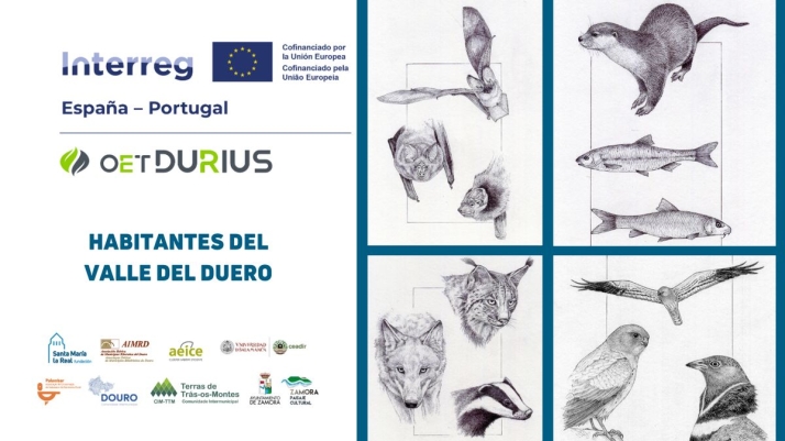 Investigadores salmantinos desvelan los corredores ecol&oacute;gicos del lince ib&eacute;rico y otras 19 especies en la cuenca del Duero | Imagen 1