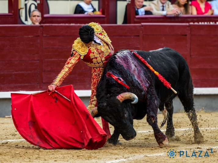 Marco P&eacute;rez: "Ojal&aacute; pueda ser figura del toreo y llevar el nombre de Salamanca donde merece, a lo m&aacute;s alto" | Imagen 3