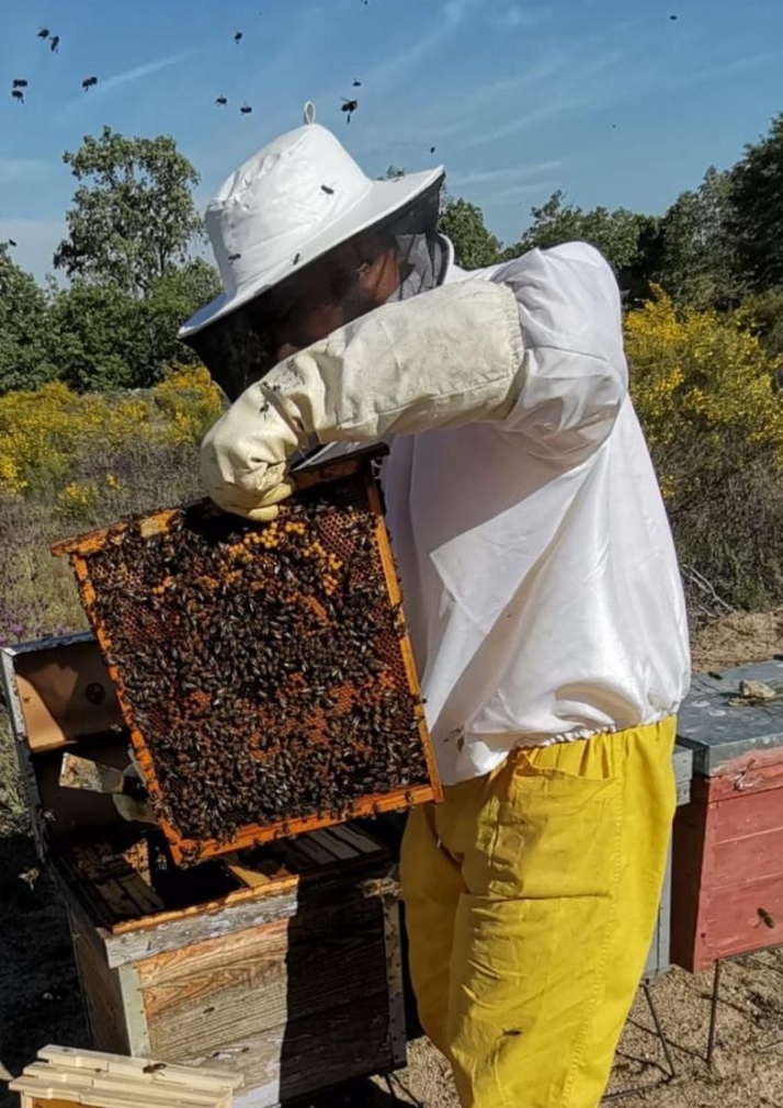 Una vida dedicada a la apicultura: &ldquo;Las jornadas de sol a sol son duras pero soy feliz trabajando en el campo&rdquo; | Imagen 1
